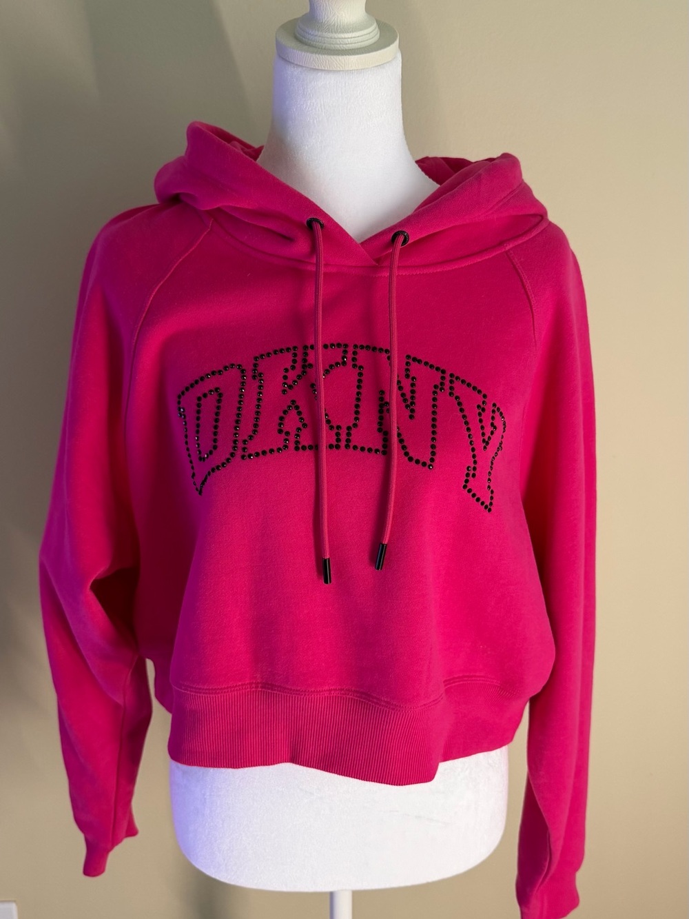Plainty Hot Pink Hooded Sweatshirt